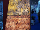 Richter India Pvt.ltd